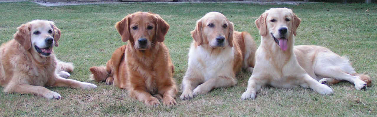 Da Sx: bisnonna Blondy, nonna Trudy,  mamma Bibi, Charmy