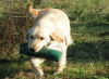 Evy5mesi.JPG (94860 byte)