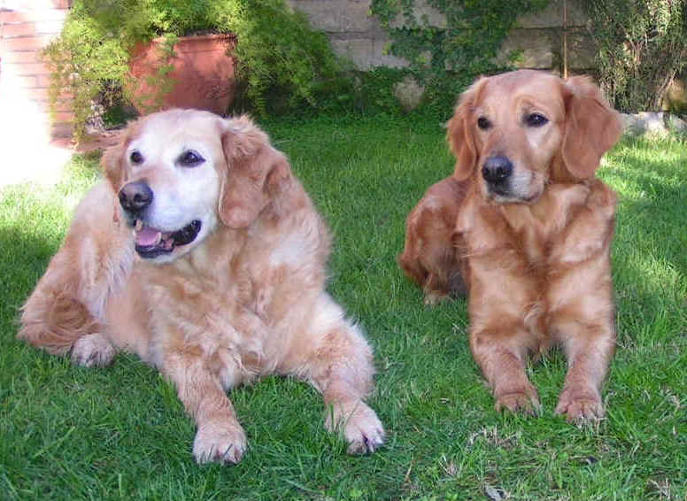 Blondy, Trudy e Nicki, 2 generazioni