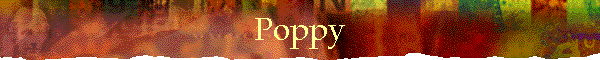 Poppy