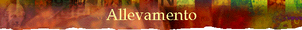 Allevamento