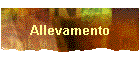 Allevamento
