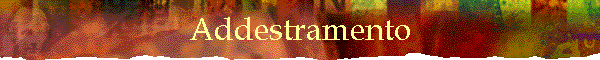 Addestramento