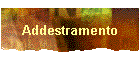 Addestramento
