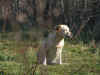 PICT0276.JPG (651125 byte)