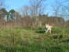 PICT0284.JPG (298886 byte)