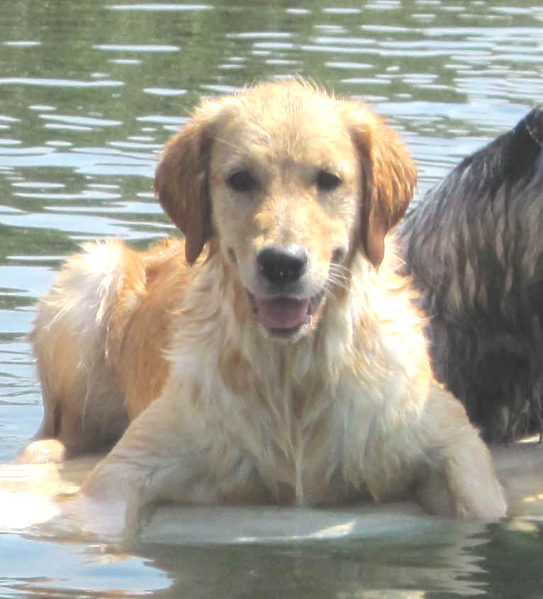 Bibi sul surf