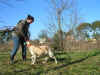 PICT0285.JPG (293214 byte)