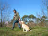 pict0296.JPG (320050 byte)