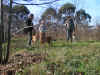 PICT0286.JPG (321855 byte)