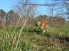 PICT0302.JPG (311227 byte)