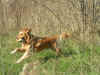 PICT0349.JPG (320609 byte)