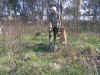 PICT0348.JPG (333375 byte)