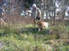 PICT0310.JPG (338931 byte)