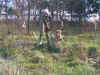 PICT0377.JPG (336337 byte)