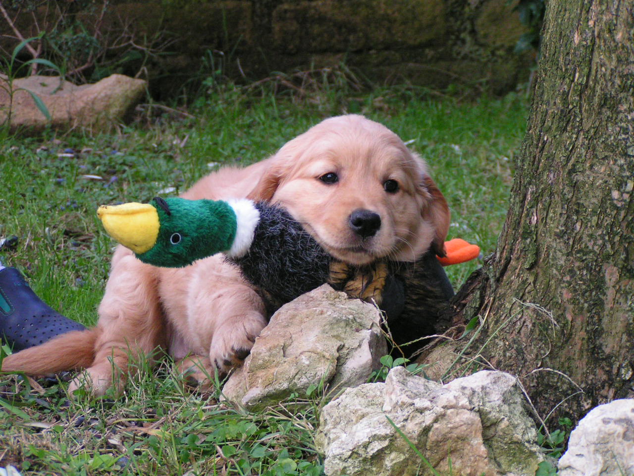 Nicki a 1 mese con Canard