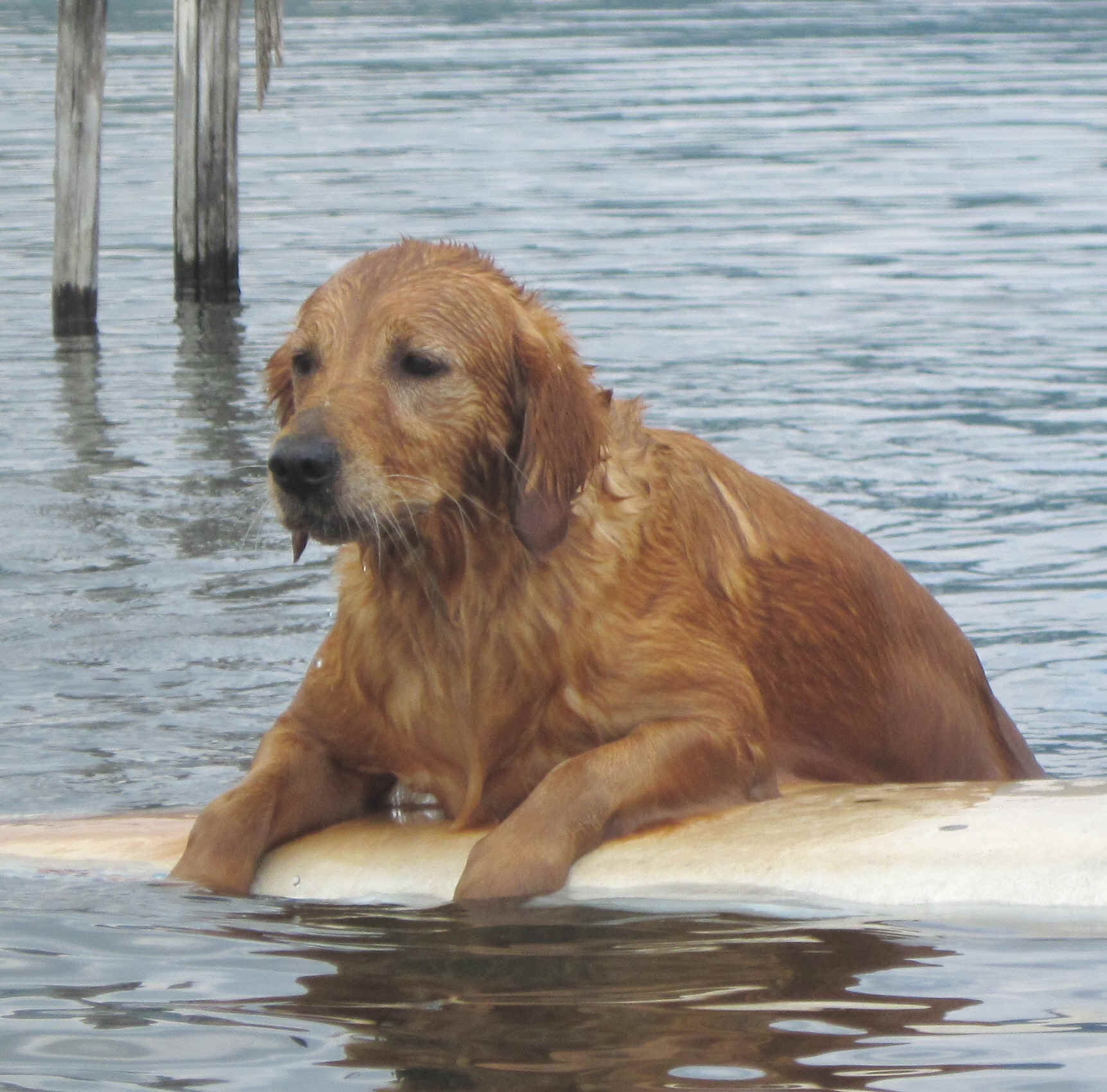 Trudy si riposa sul surf